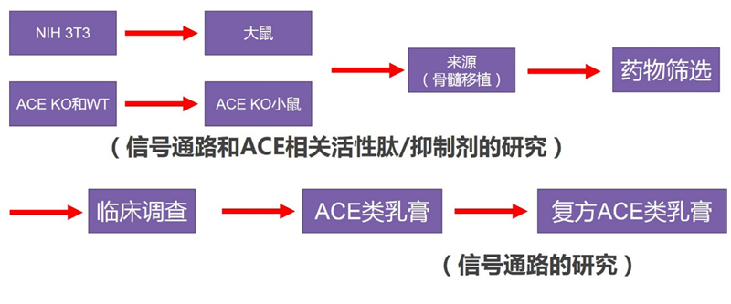 未标题-4.jpg